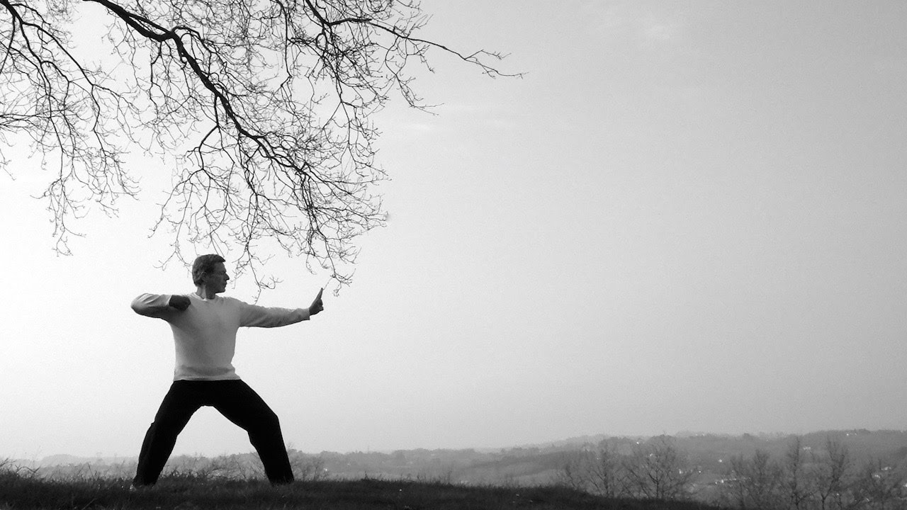 Qi Gong 