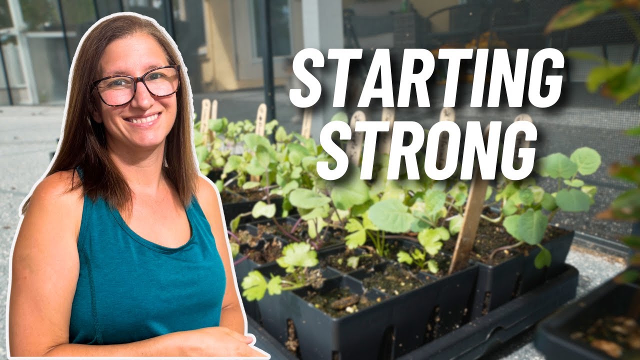 3 Ways to Start Seeds for the PERFECT Fall Garden