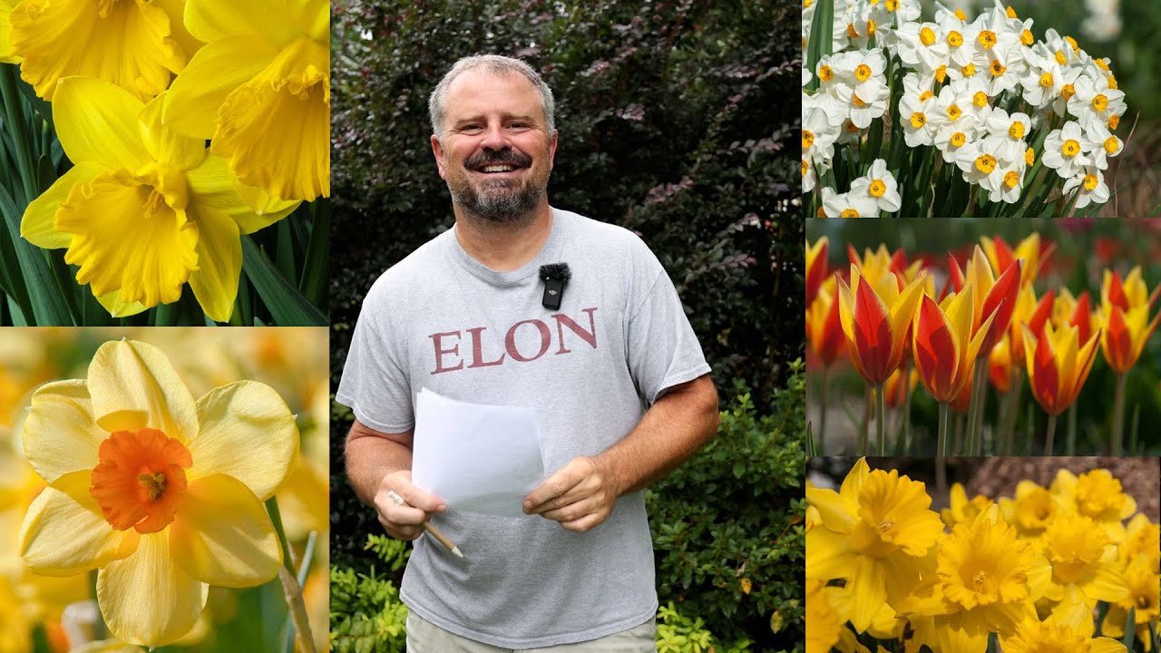 A Very Different Bulb Order This Year - Colorblends - Sustainable Landscaping