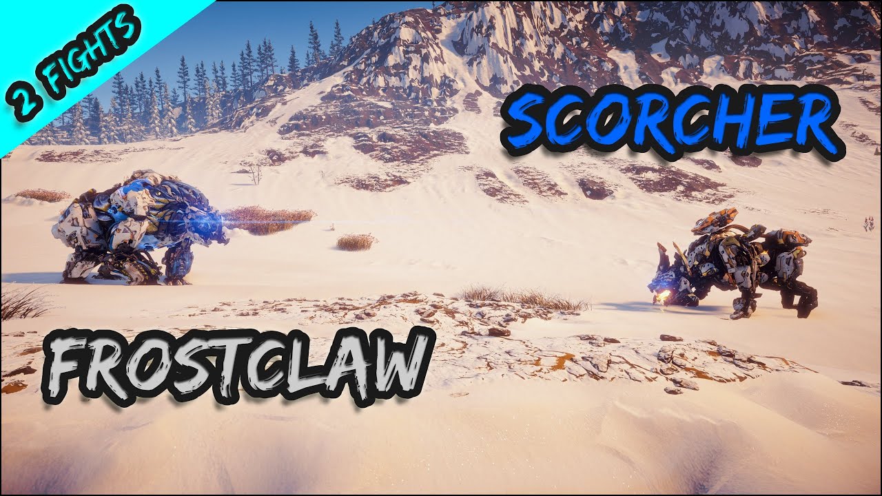 Frostclaw vs Scorchers (M vs M)