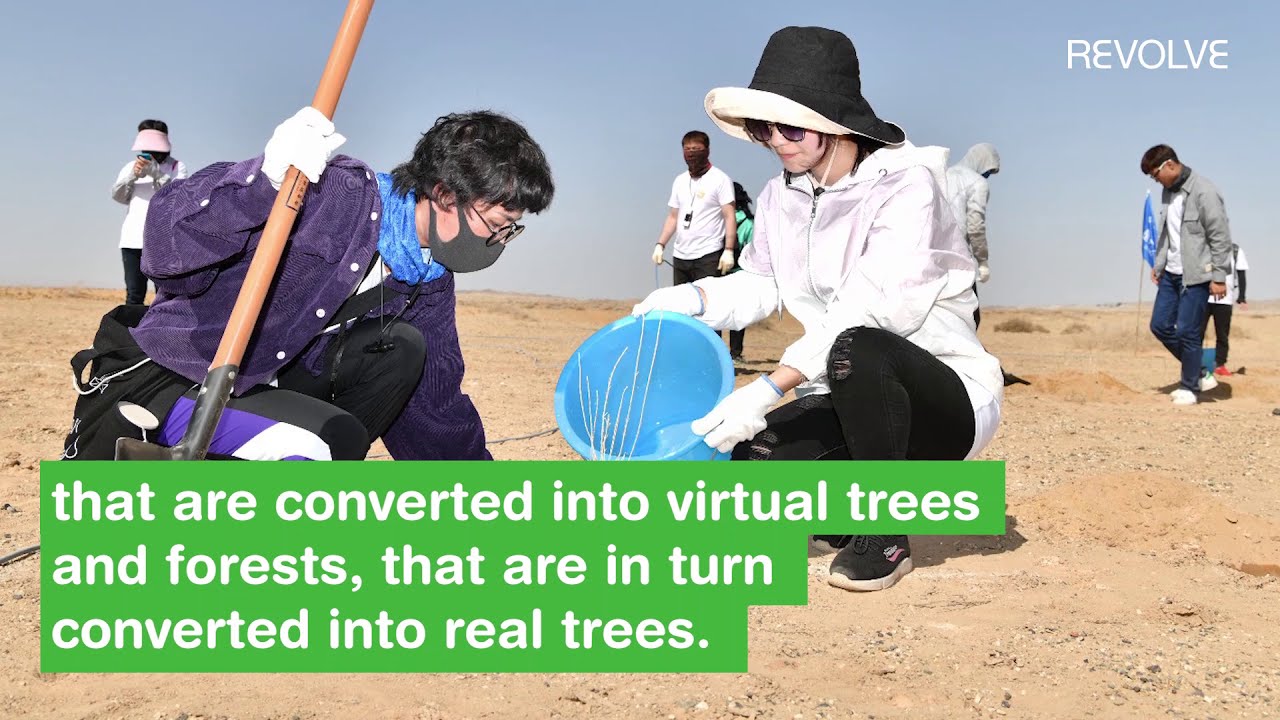 REVOLVE How Ant Forest plants trees for sustainable behavior