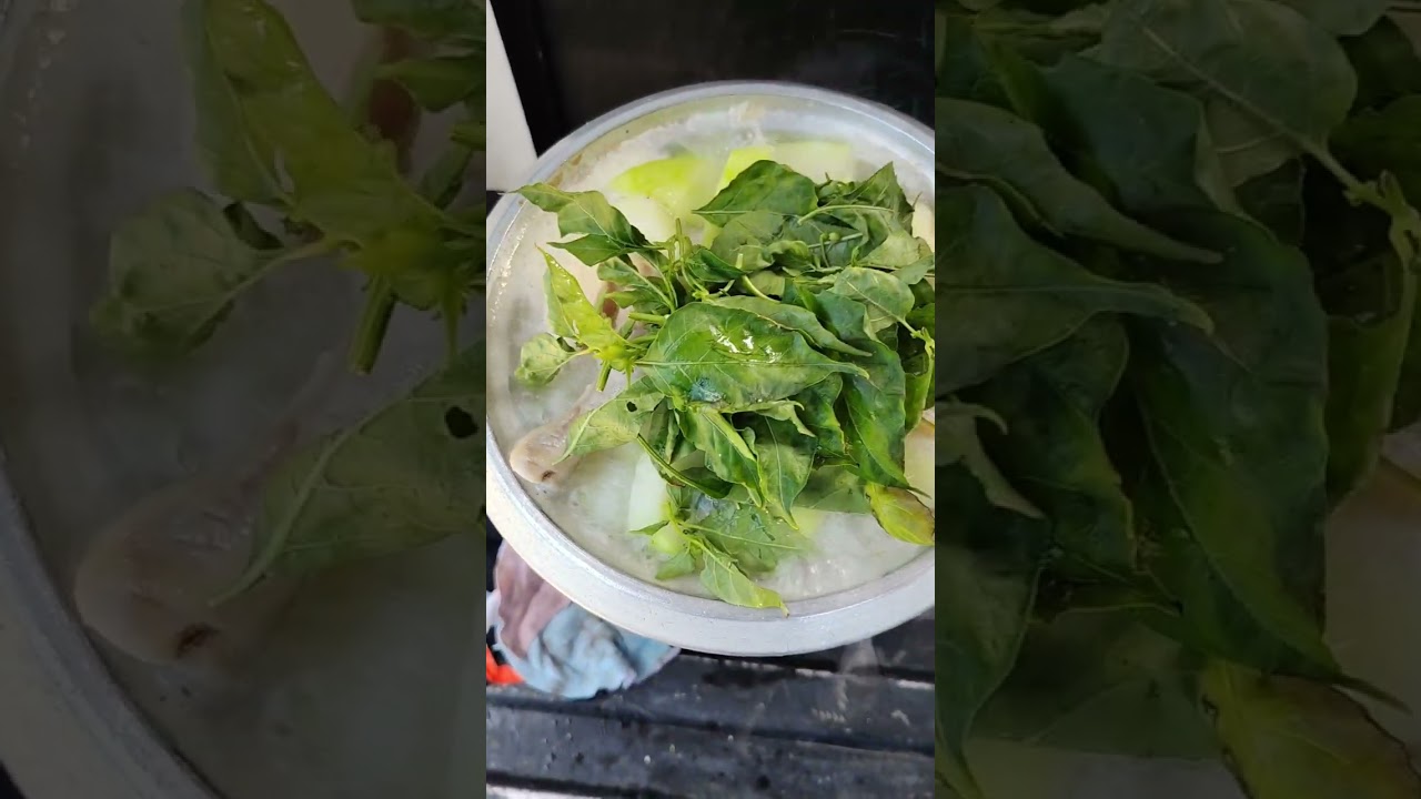 Tinolang manok