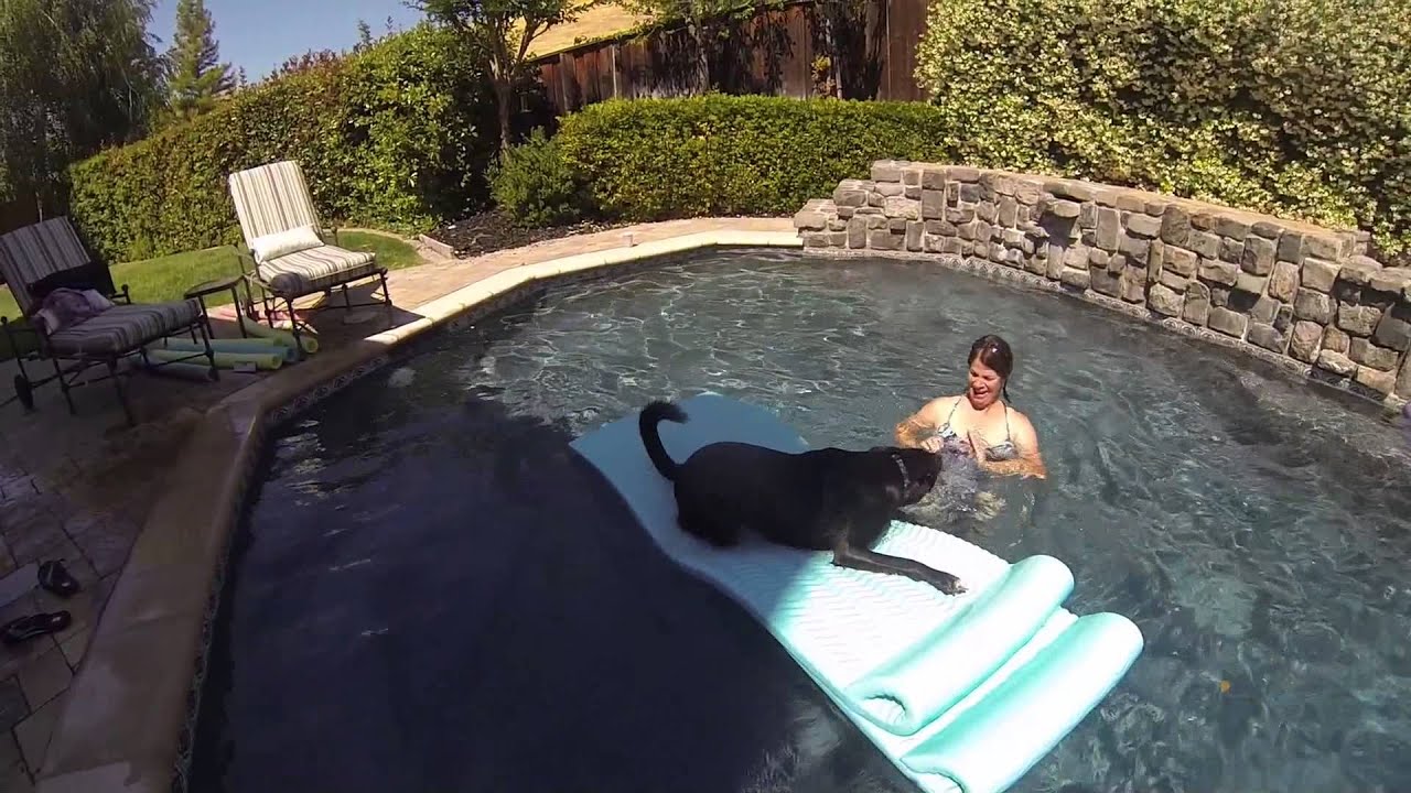 hurley pool loungeking