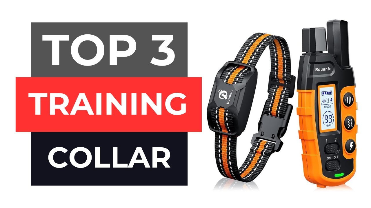 TOP 3 Best Dog Training Collar 2025