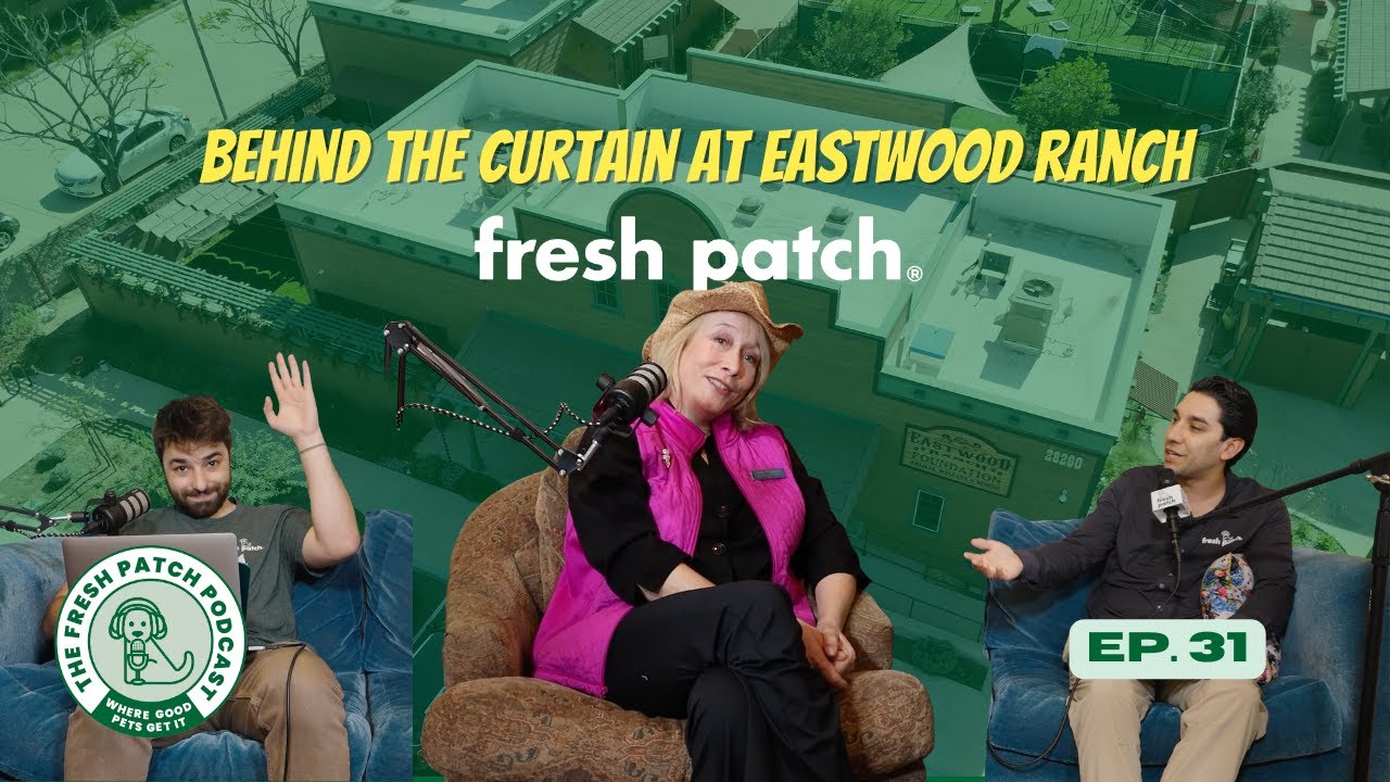 How Eastwood Ranch Saves Lives And Builds Better Homes For Pets