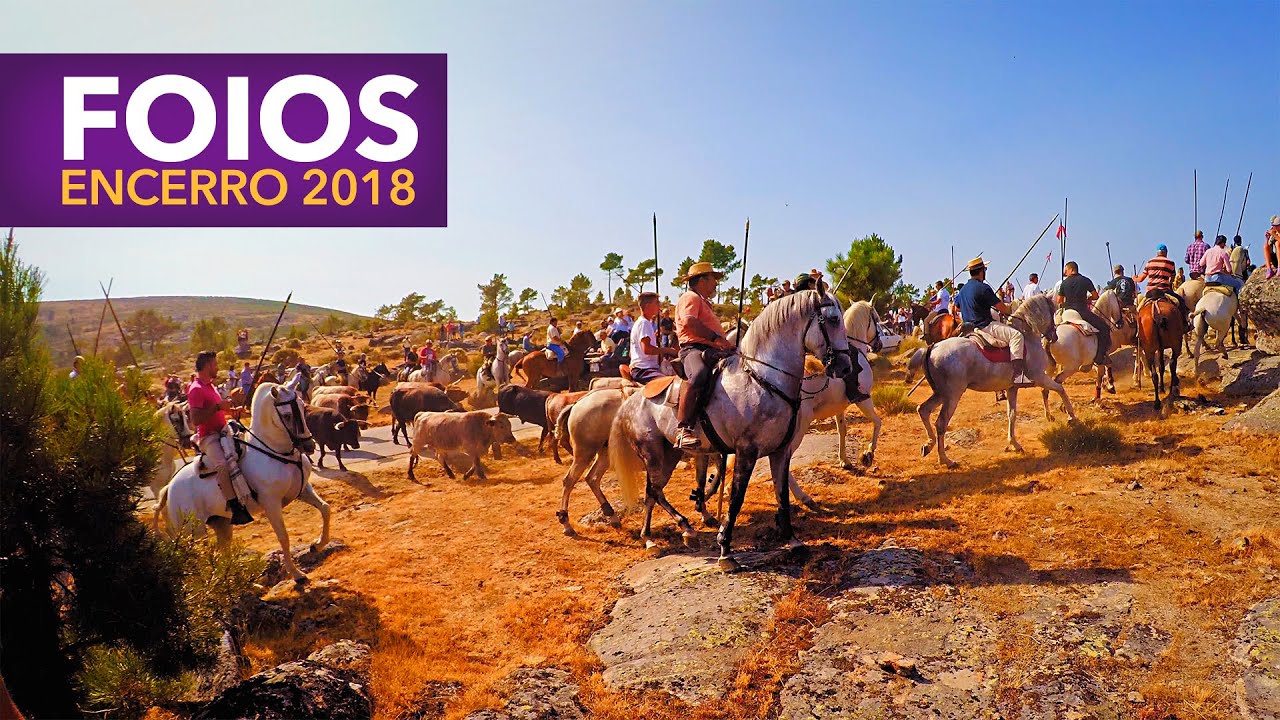 Foios Encerro de Toiros 2018
