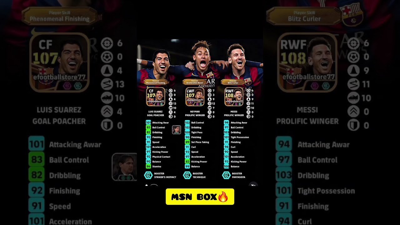 MSN best Training Guide 