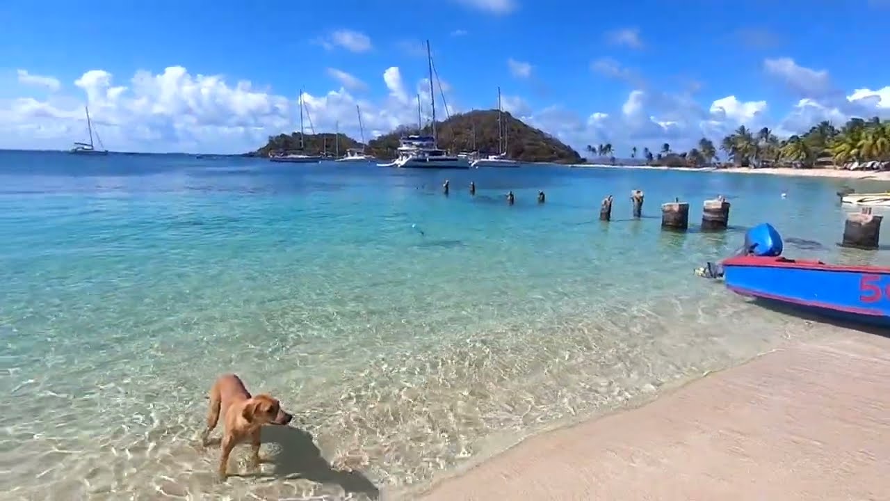 Salt Whistle Bay auf Mayreau in den Grenadinen