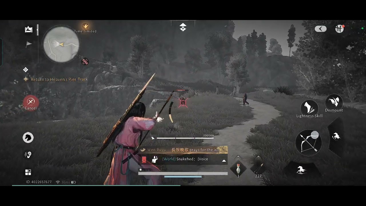 Invisible horsie in WWM 