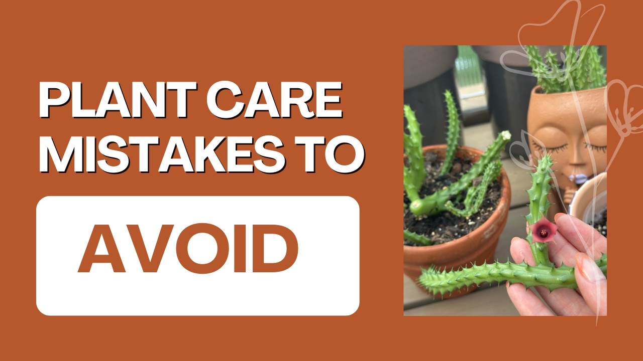 Plant care mistakes to avoid