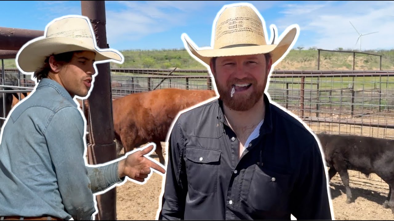 Весенние работы на ранчо Р. А. Брауна