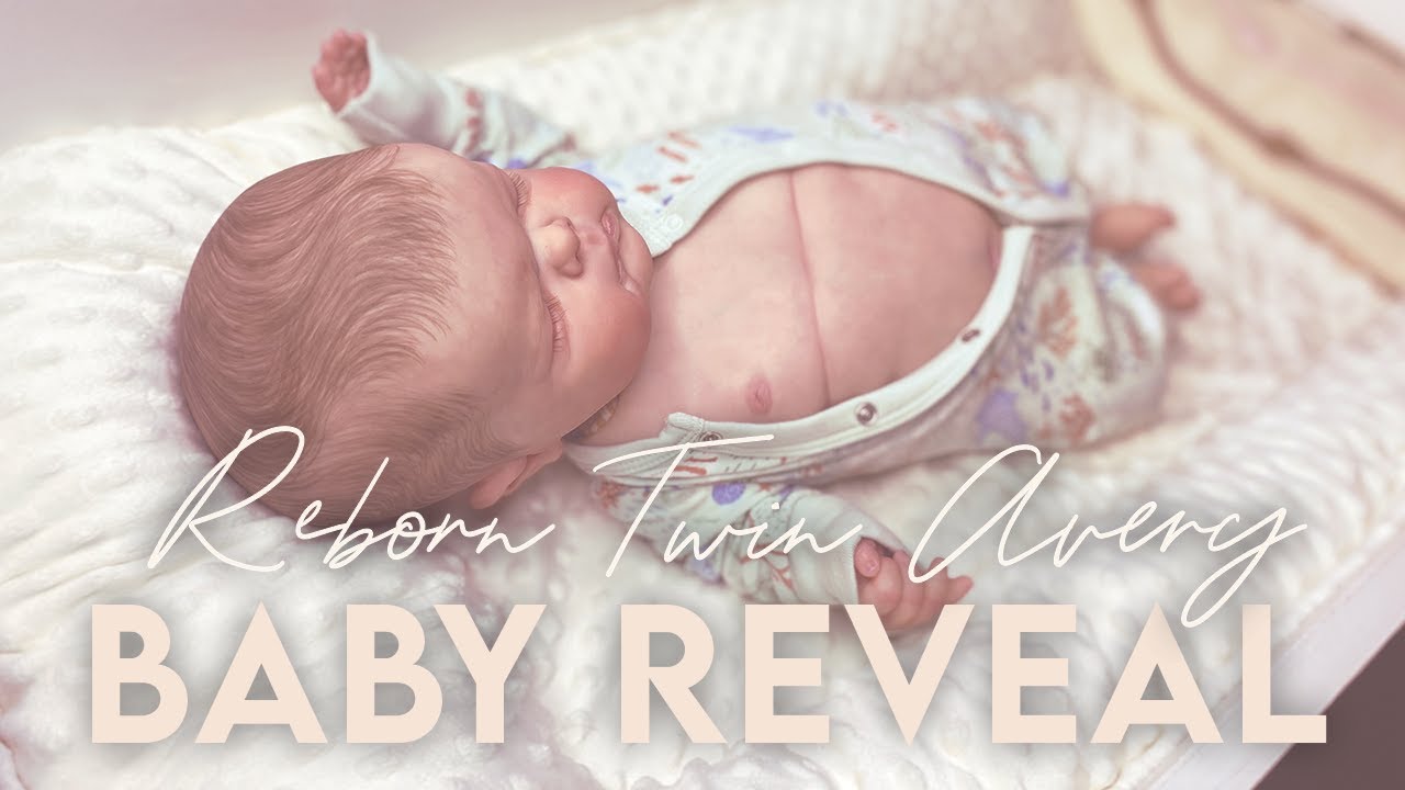 Reborn Baby Twin Reveal