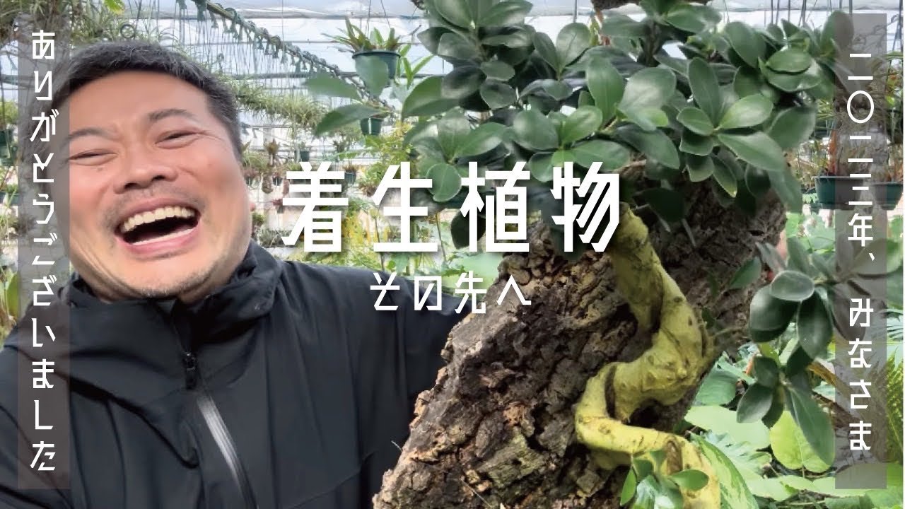 着生植物その先へ　2023年もありがとうございました！