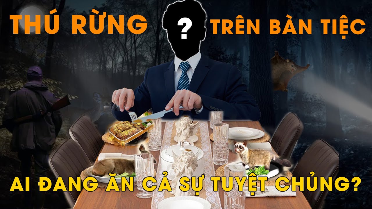 Điều tra: Ăn thịt thú rừng quý hiếm – Phanh phui bí mật sau những quán nhậu giữa lòng phố thị