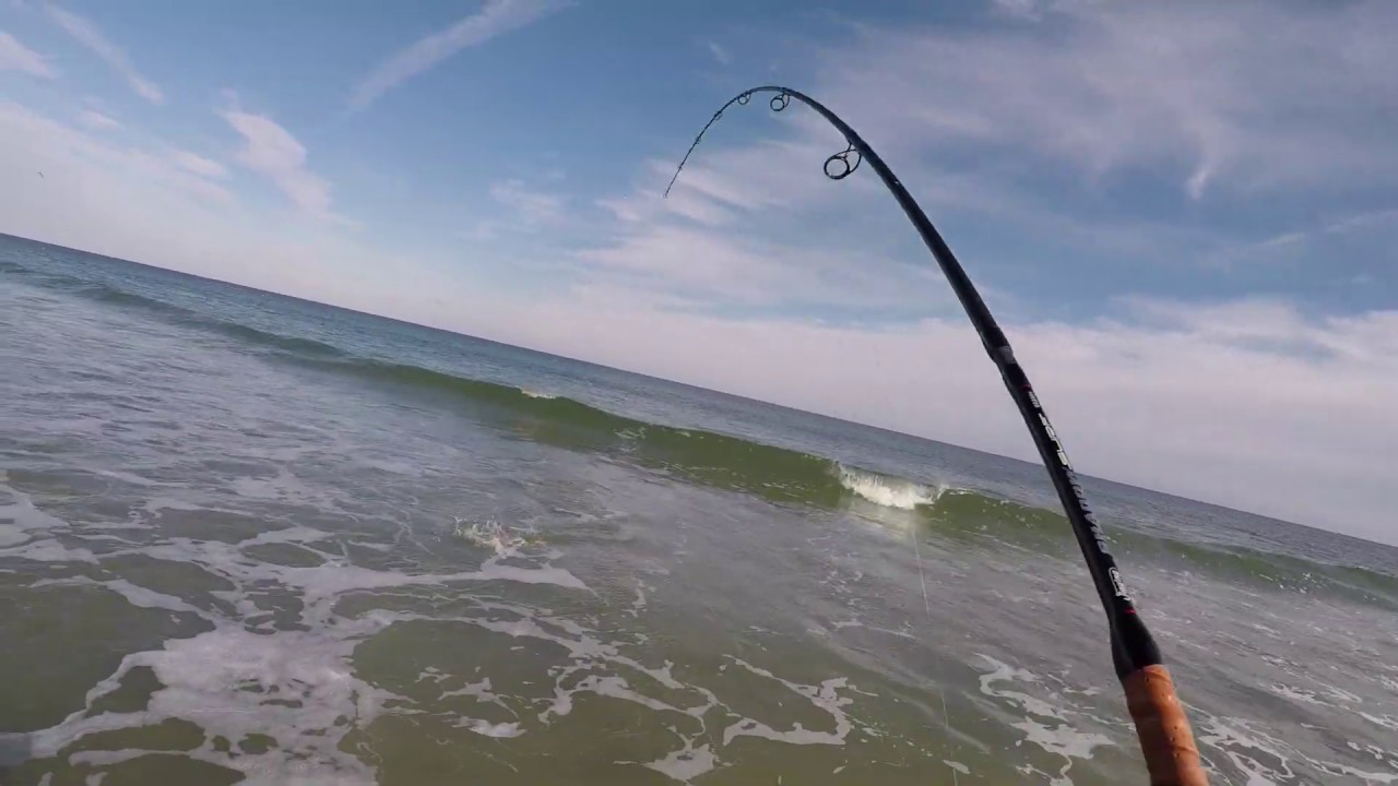 Chasing Blitzing Stripers Down the Jersey Shore