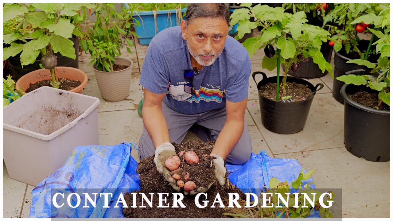 HARVESTING POTATOES AND ONIONS IN CONTAINERS | SMALL SPACE GARDENING SUCCESS!