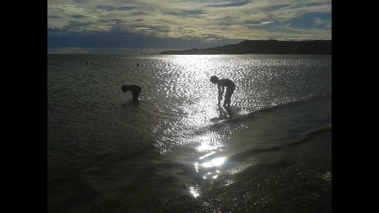 Decime si no, Carlos Saracini c.p.