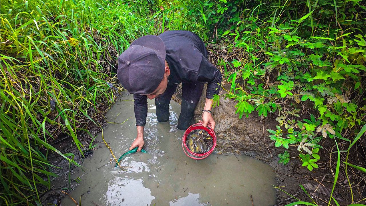 5 hari berburu banyak ikan digenangan air sawah & pasang 20 jerat burung!!! #KOOKIKO