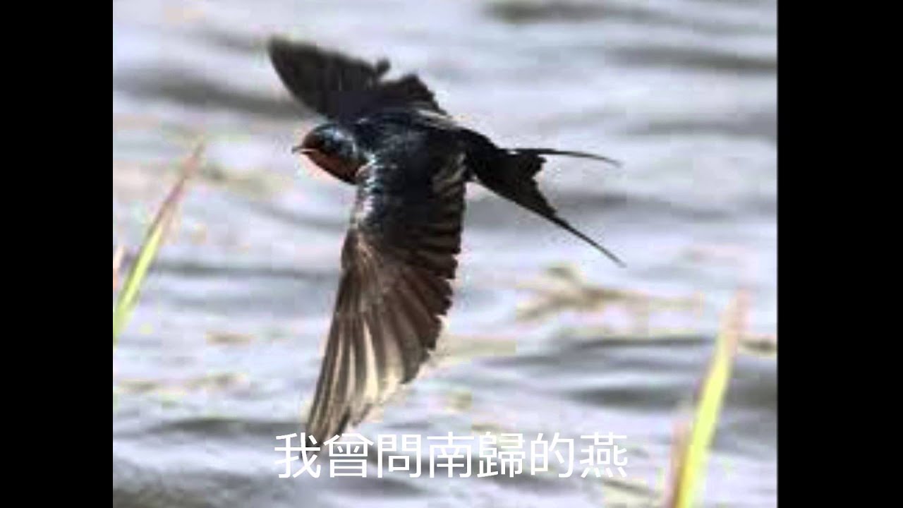 怀念曲－田鸣恩