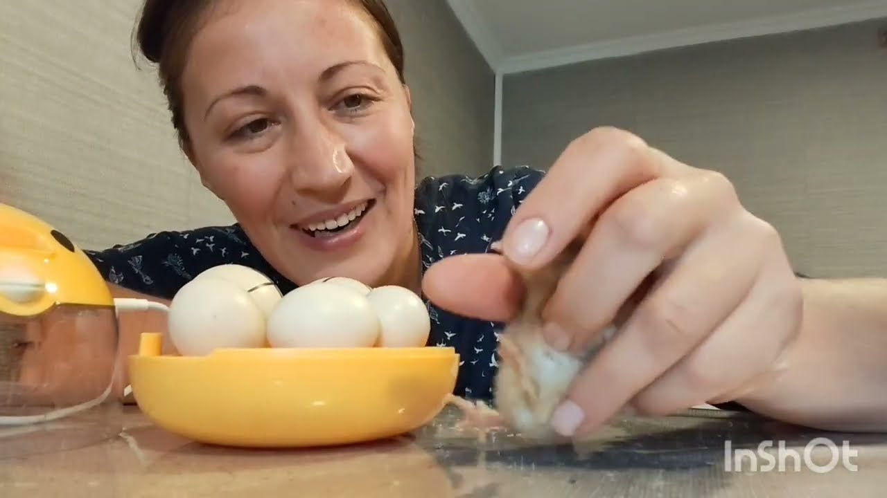 Დემშვიდობიის🤣❤️🐥🐣