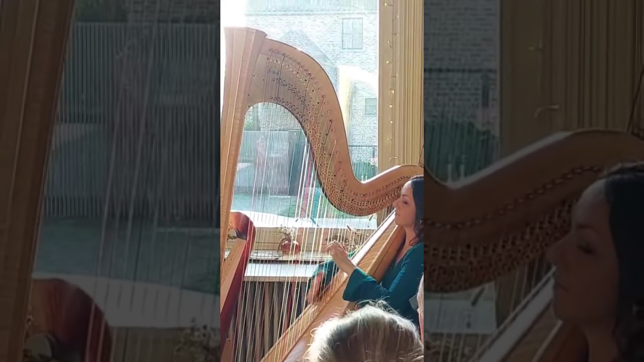 Klassiek Keltisch Kerst Harp concert