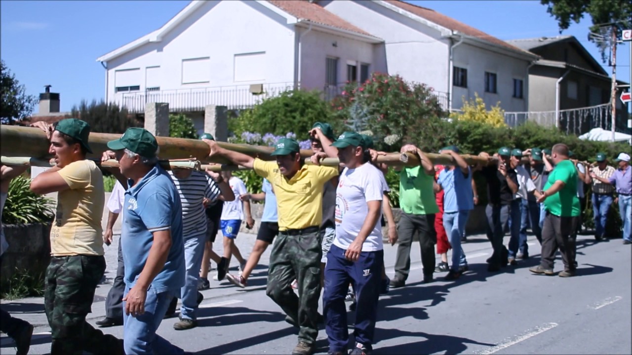 O maior mastro (eucalipto) da freguesia Fonte Arcada cerca 30 metros.