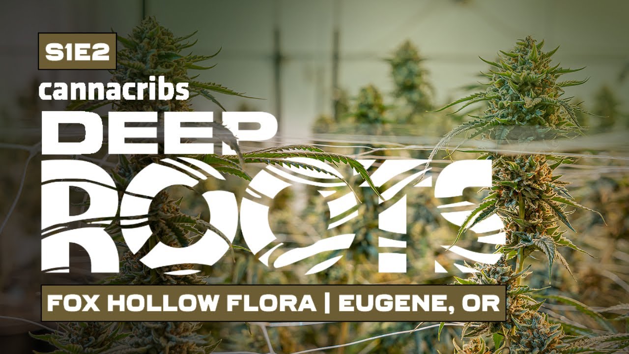 Award Winning Craft Cannabis | Fox Hollow Flora in Eugene, Oregon