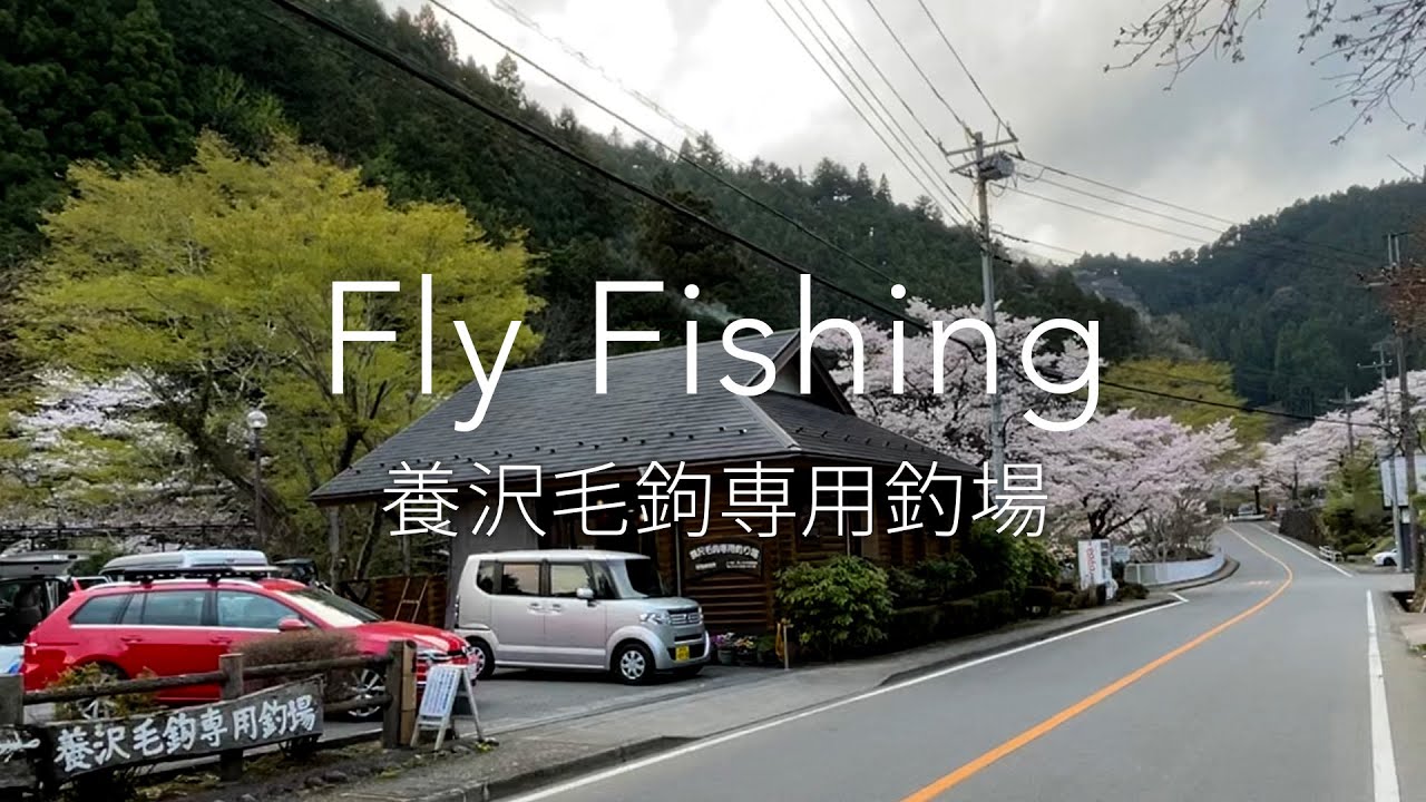 FlyFishing@養沢毛鉤専用釣場