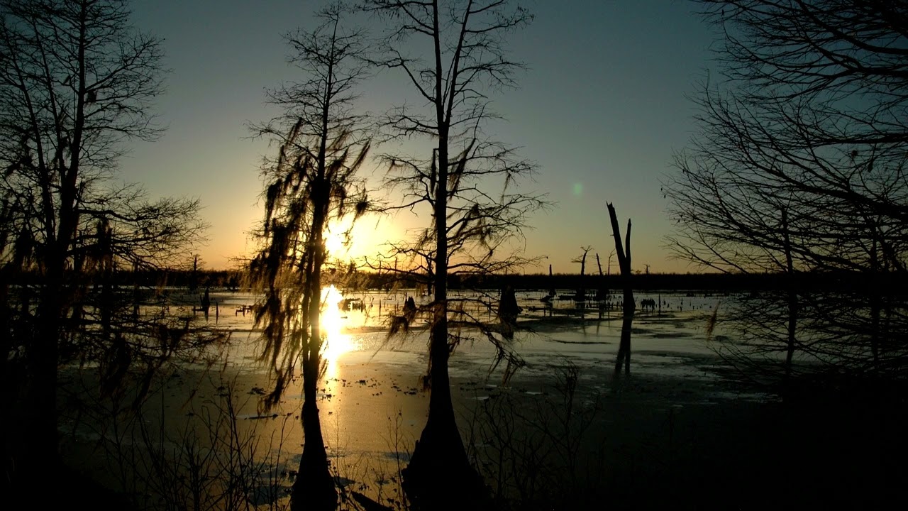 BLUE BAYOU