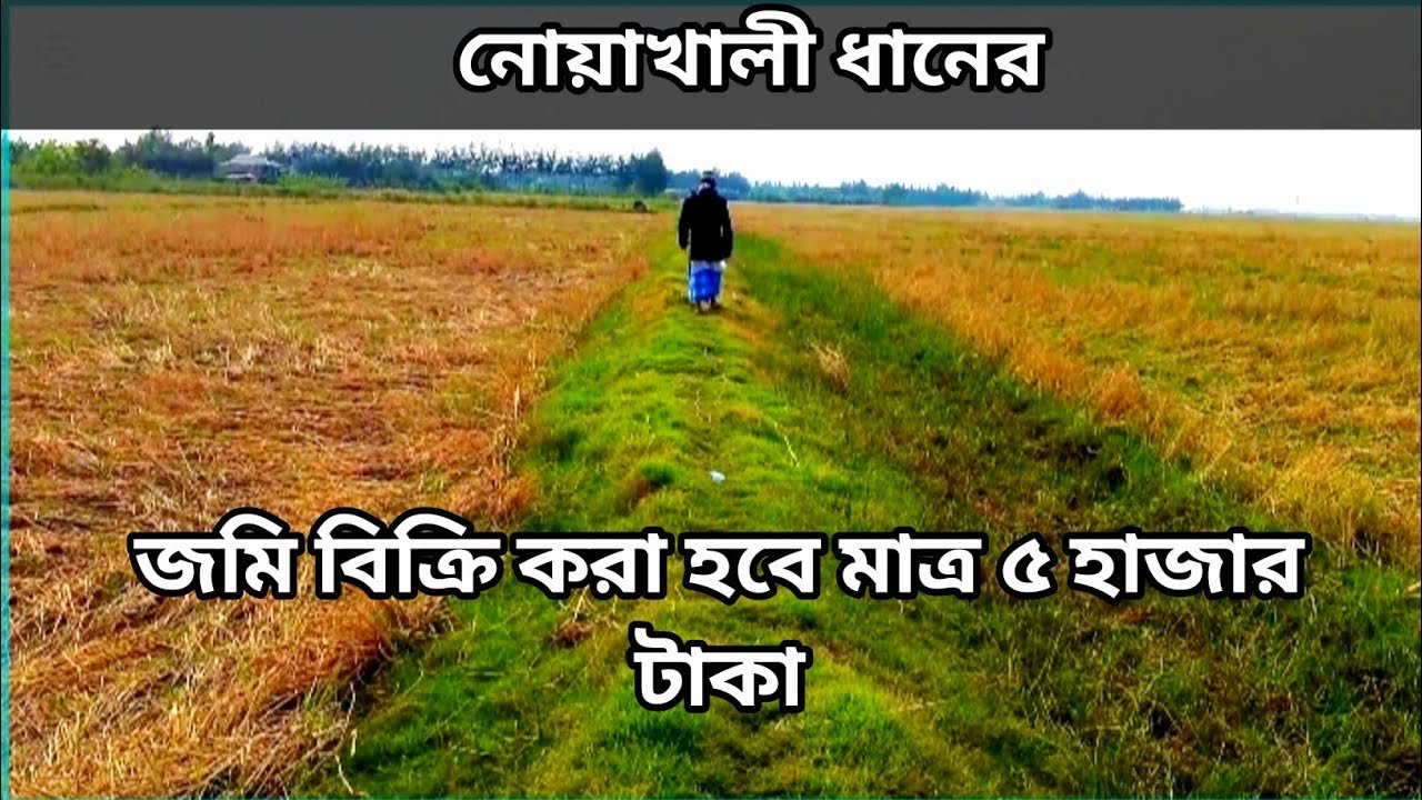 জমি বিক্রি করা হবে 5000 টাকা 01853111049