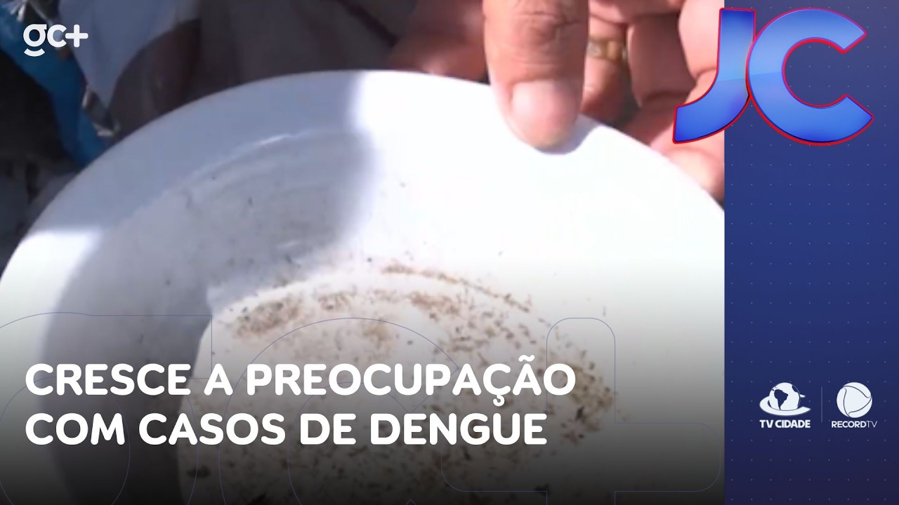 Mesmo com a vacina disponível é importante evitar a proliferação de mosquitos | Jornal da Cidade
