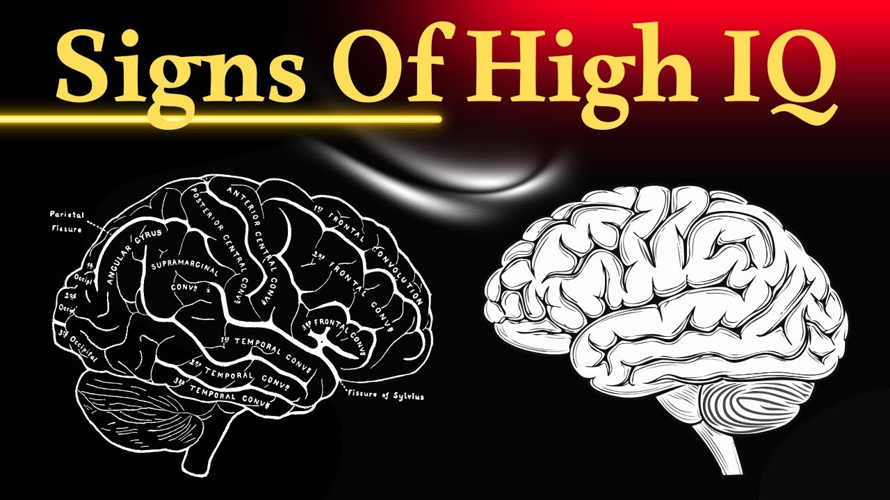 Are You A Secret Genius? 4 Signs of a High IQ Personality