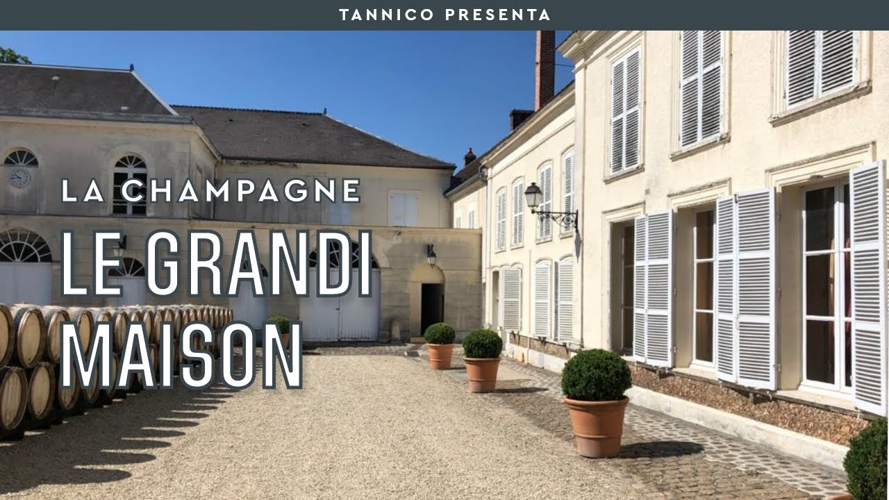 Le migliori Maison di Champagne, da Dom Pèrignon a Veuve Clicquot | Tannico Flying School