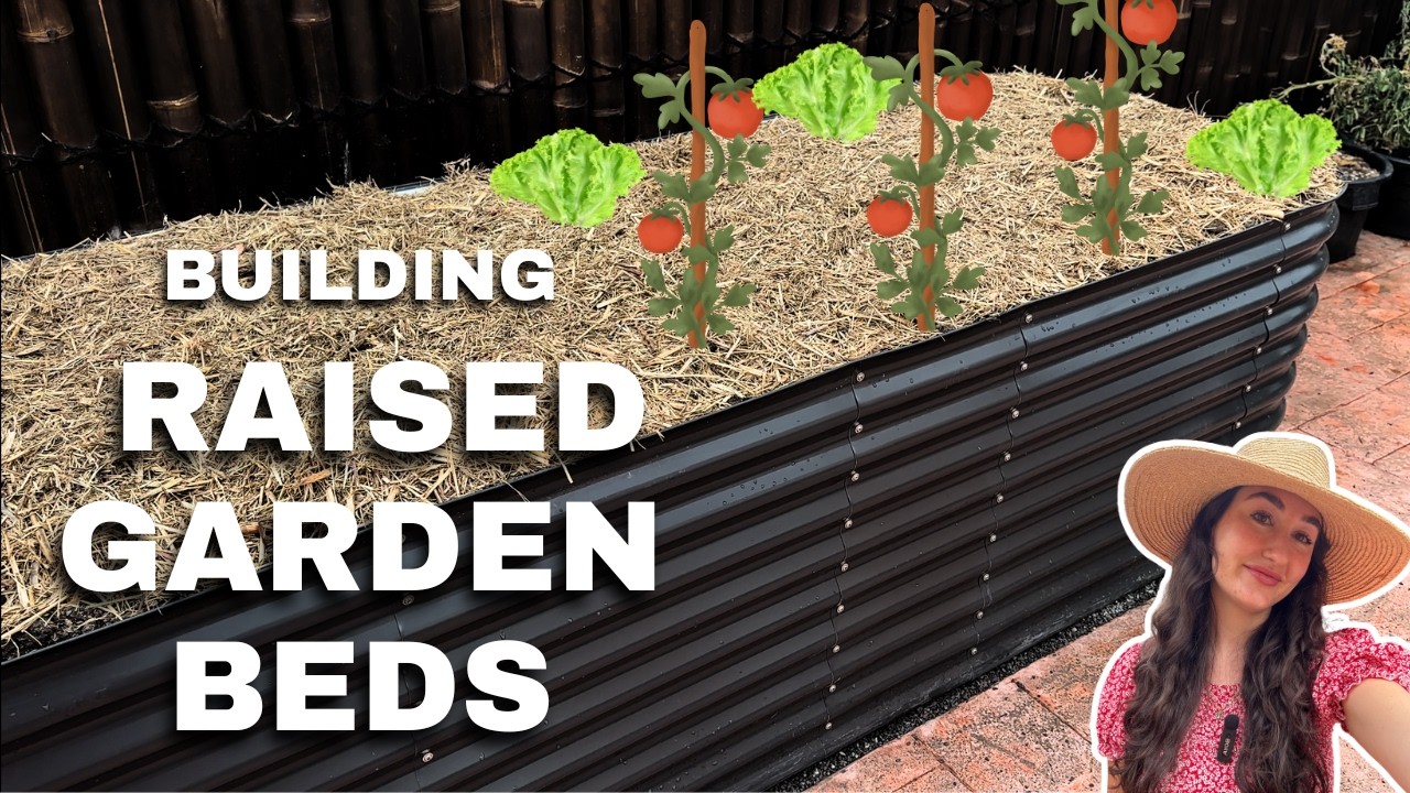 Why I Chose Metal Veggie Beds Over Wood