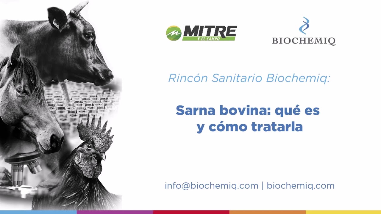 Sarna bovina: qué es y cómo tratarla - Rincón Sanitario Biochemiq