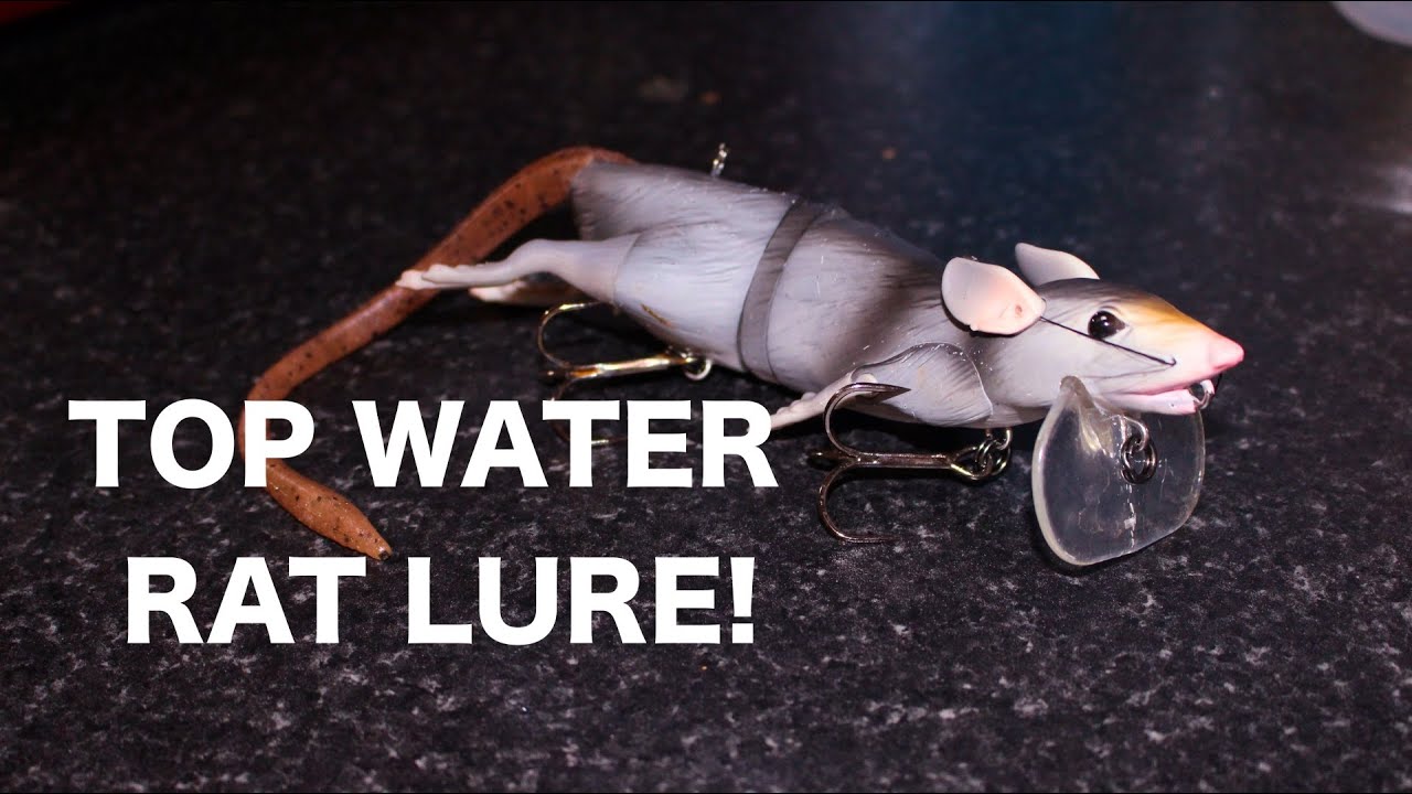 Topwater pike fishing with the savage gear 3D rad! -UK Lure Fishing