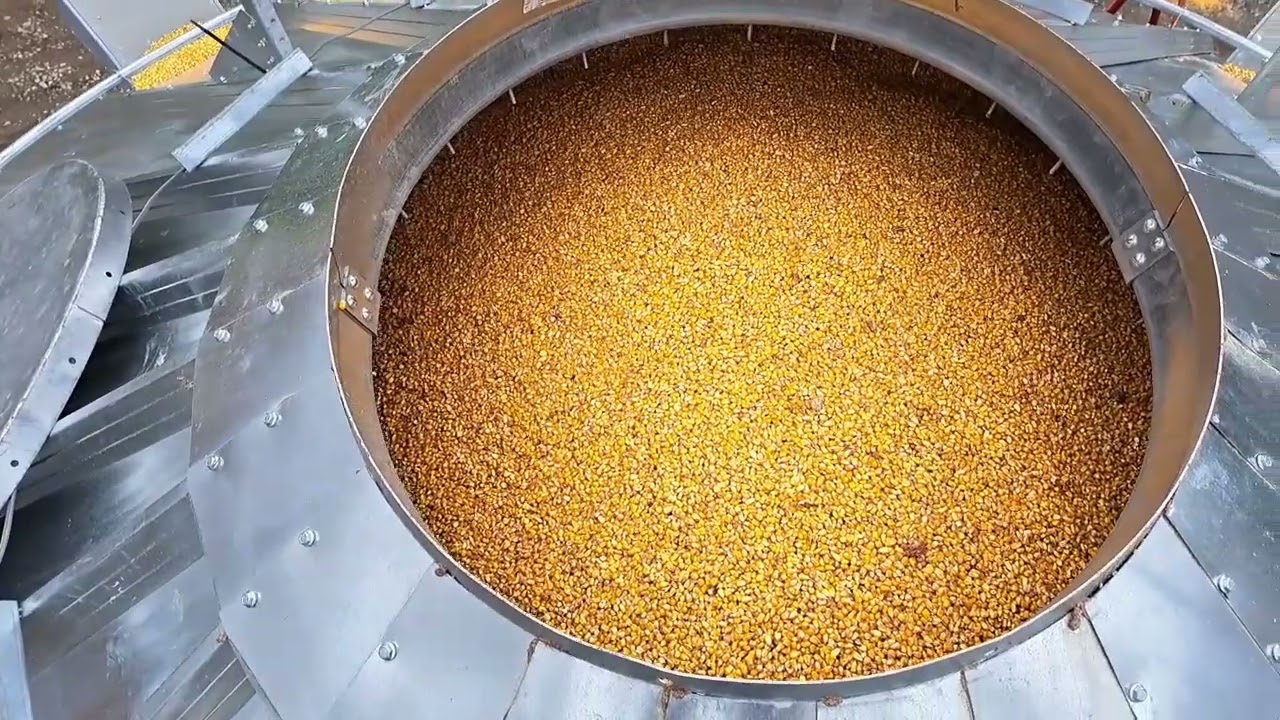 How to operate Moore Automation topdryer controls, economical manual batch dryer controls