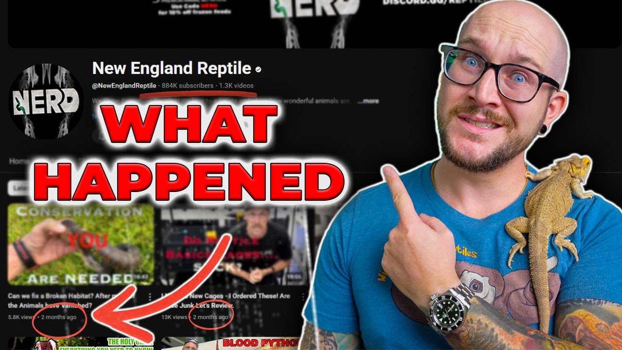 What ACTUALLY Happened to NERD?