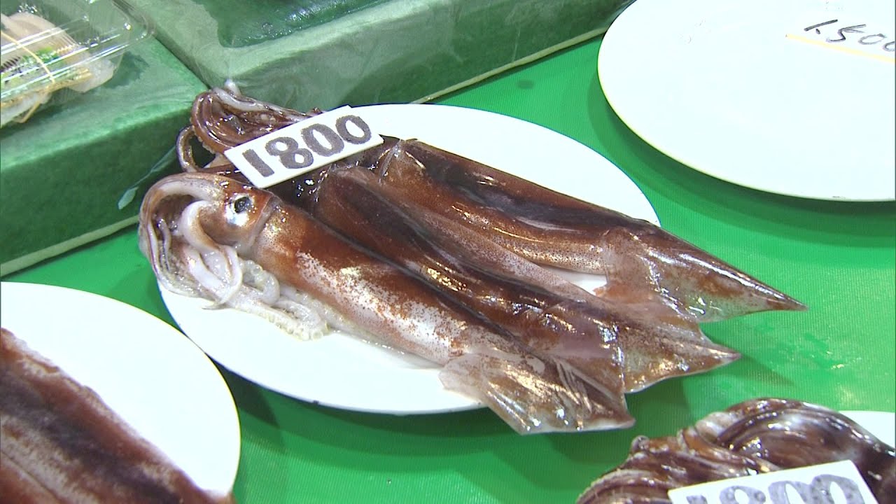 【函館に活気戻る】スルメイカ漁 “約3週間ぶり”に小型船が水揚げ_観光客は「食べられてよかった」”競りの最高値”7900円に関係者は「みんな頑張って買ってくれた」〈北海道〉