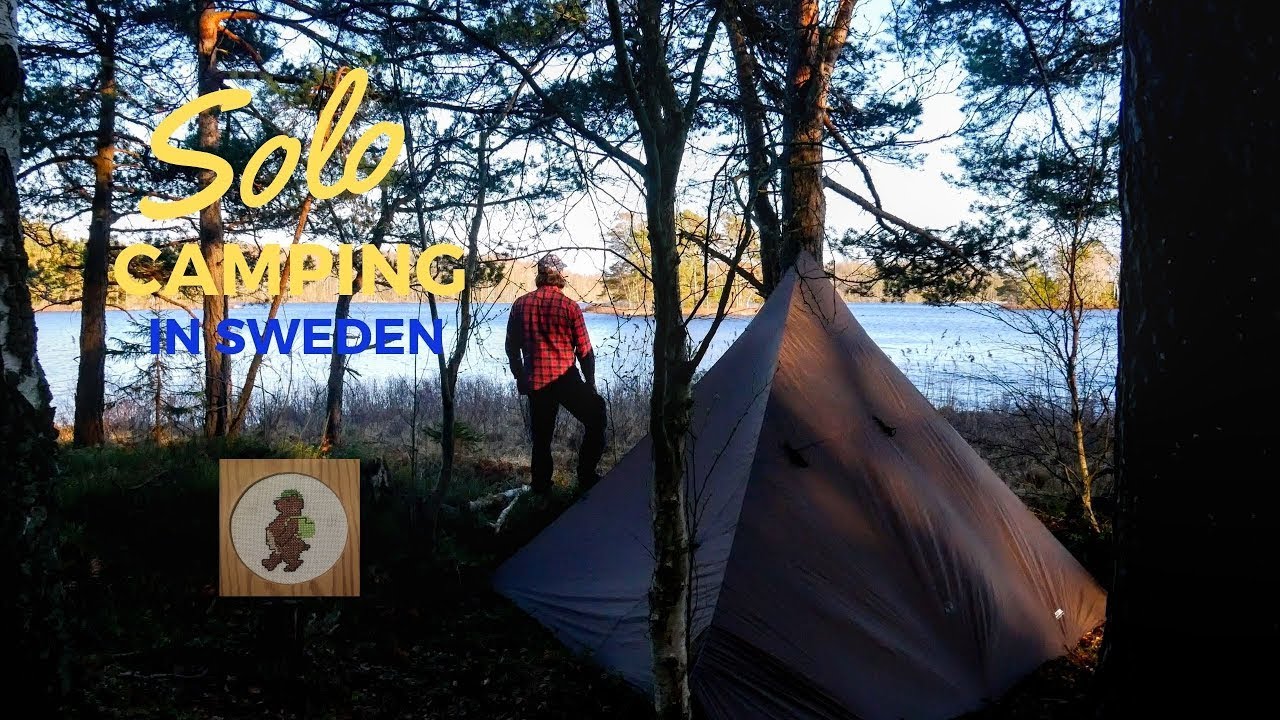 Wild Boar Surprise: Solo Camping And Cooking In The Swedish Wilderness