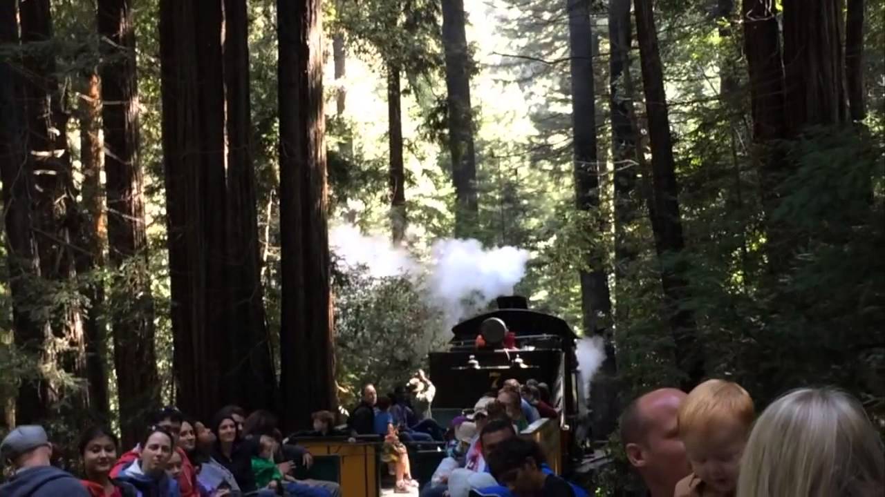 Roaring Camp and Big Trees Narrow Gauge Railroad - Sonora Shay