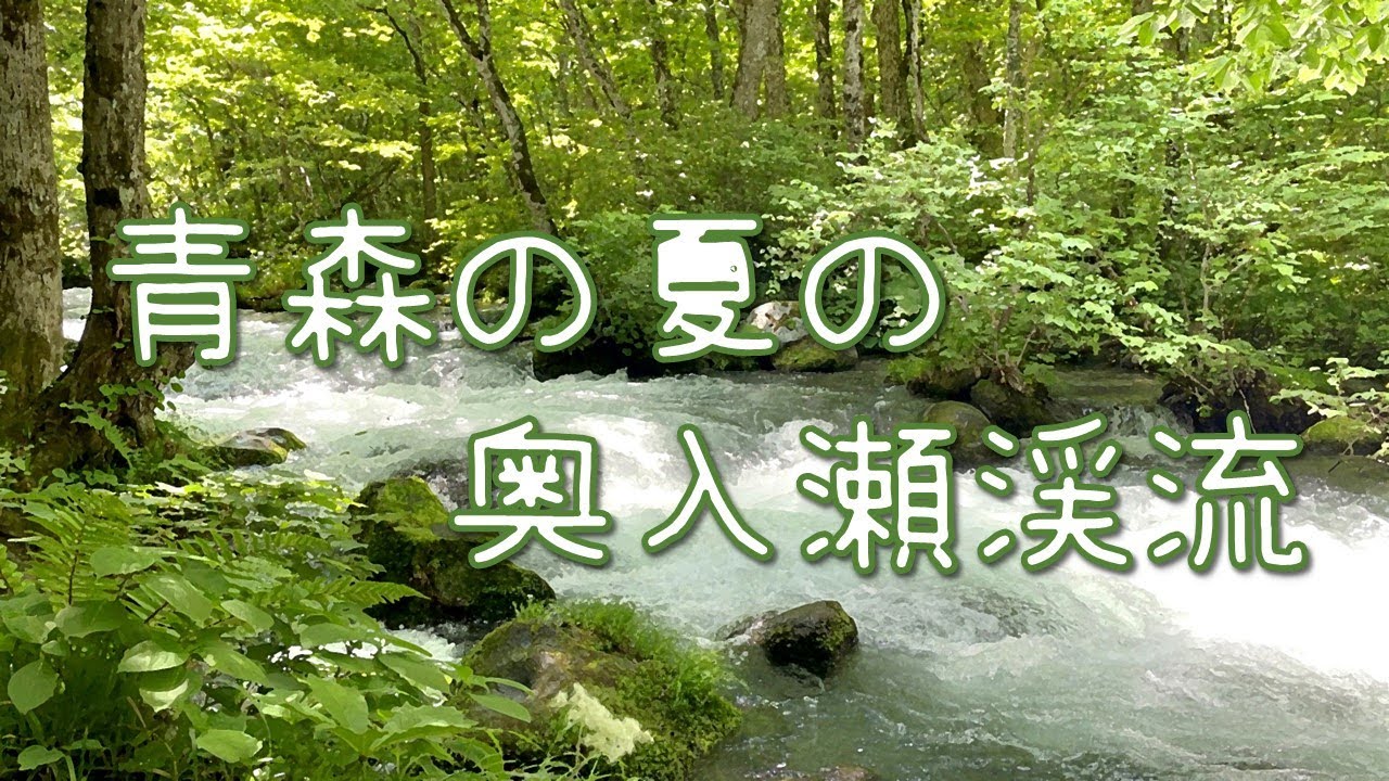 日本東北｜青森の夏の奥入瀬渓流