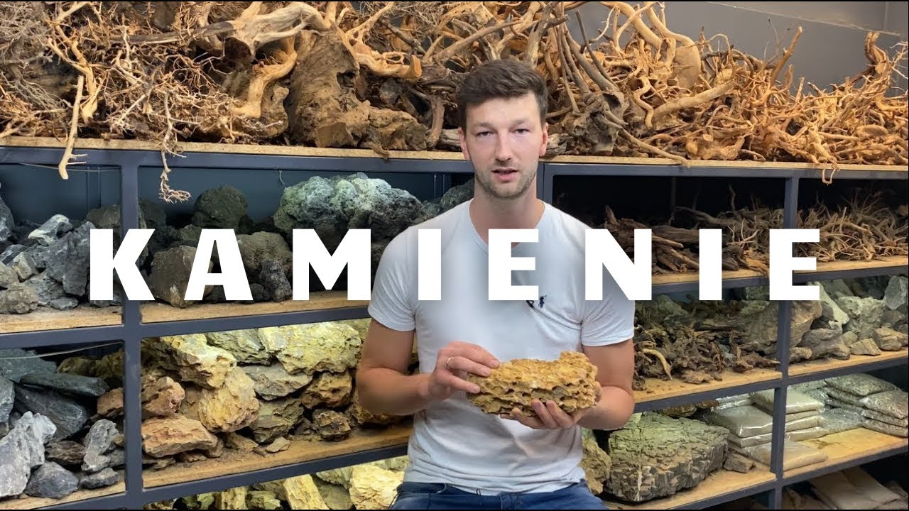 KAMIENIE, KORZENIE, DETALE - Cz. 1/3 - czyli PRZEWODNIK po materiałach do aranżacji akwarium.