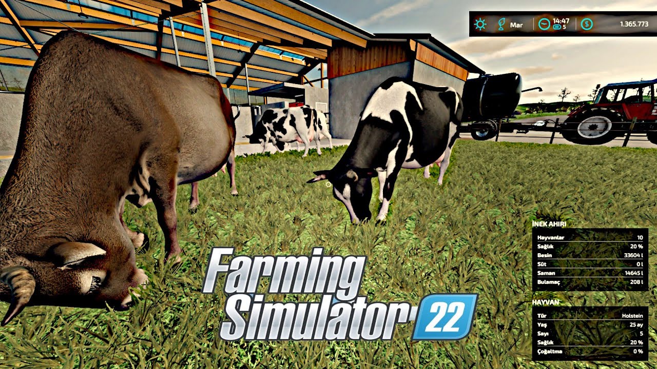 İNEKLERE TKT HAZIRLAMA || BEYLERON  || FARMİNG SİMULATOR 22 || #4