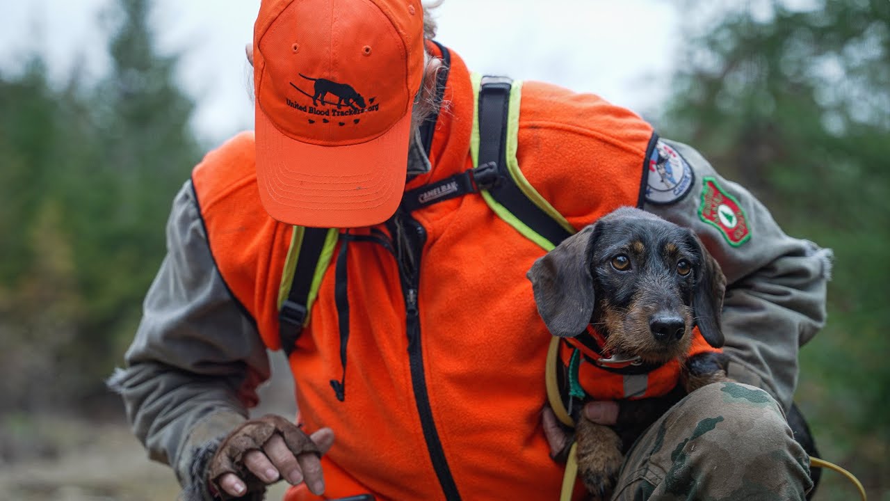 [LAST TRACK] - Finding Closure Through Dog Tracking