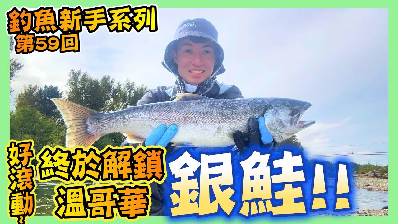 【被嘲笑一年後…終於解鎖銀鮭!!】釣魚新手系列-第59回｜銀鮭追蛋咬!? 帝王鮭洗腮全記錄｜Roe Fishing for Coho & Chinook in BC｜ Hailey Family