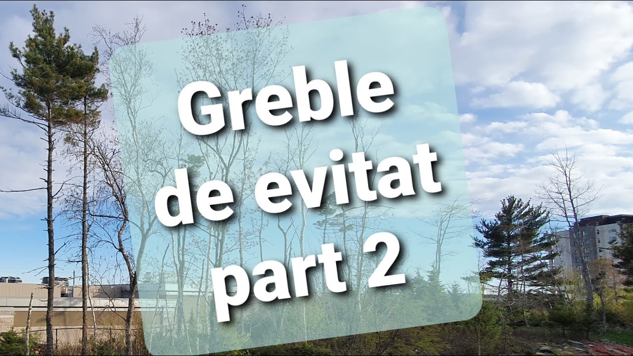 Greble de evitat part 2 | Adaptarea in Canada