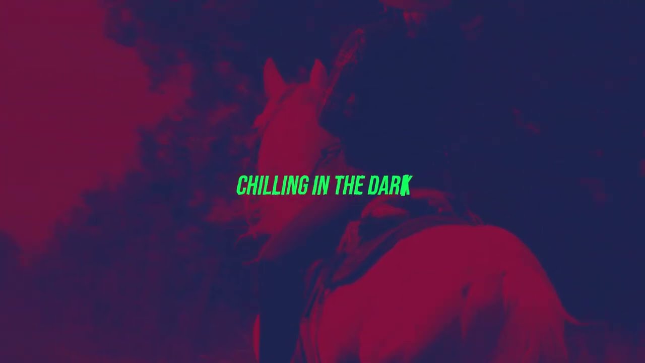 CHILLING IN THE DARK (20100113)