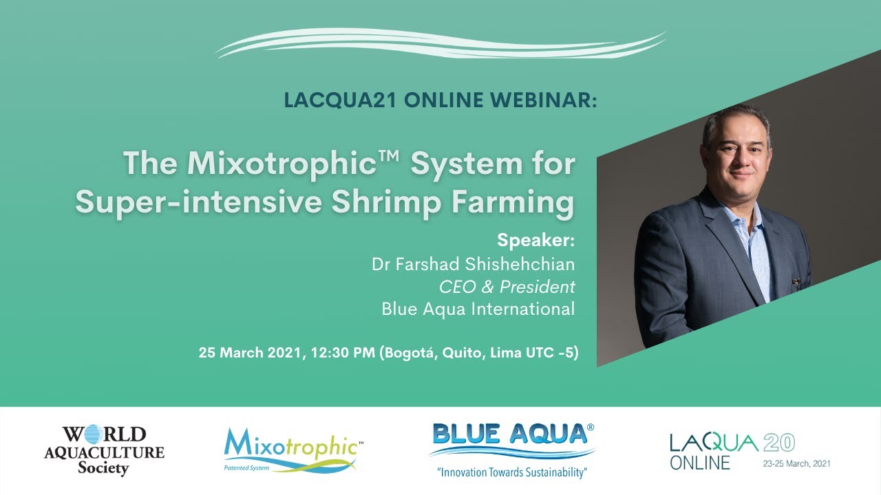 The Mixotrophic™ System for Super-intensive Shrimp Farming by Dr Farshad
