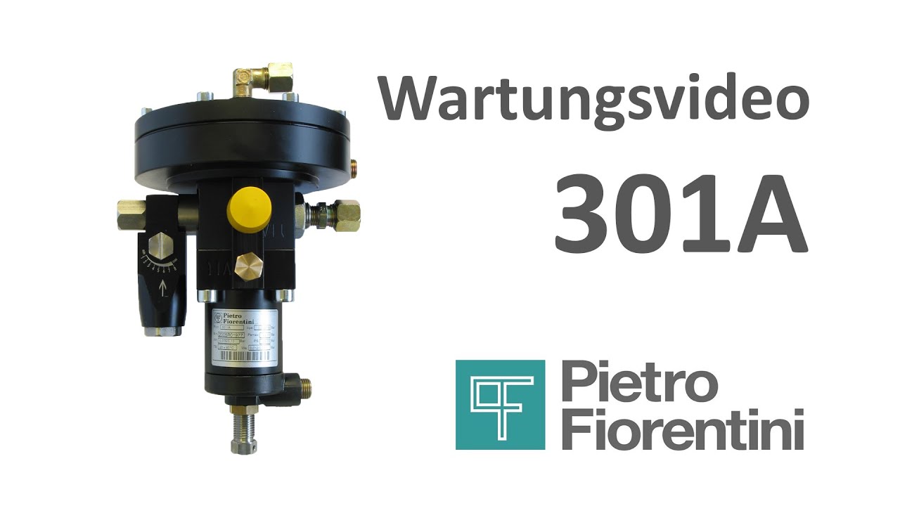 Fiorentini Deutschland Wartung 301A